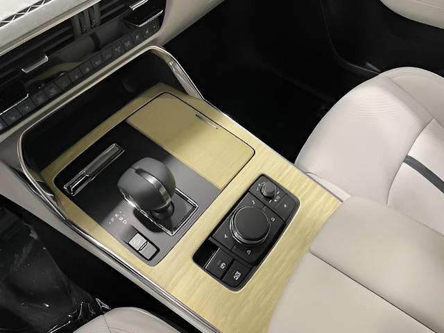 2025 Mazda CX-90 Vehicle Photo in Green Bay, WI 54304