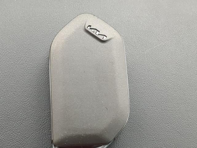 2023 Kia Telluride Vehicle Photo in Brunswick, GA 31525