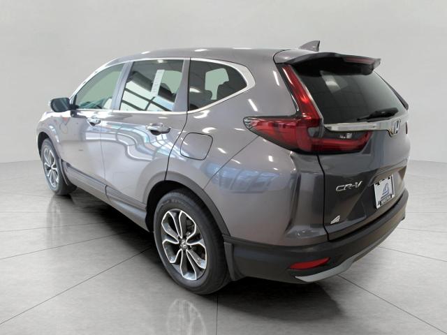 2022 Honda CR-V Vehicle Photo in Green Bay, WI 54304