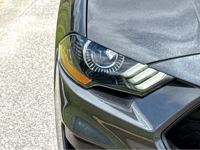 2019 Ford Mustang Vehicle Photo in Hinesville, GA 31313