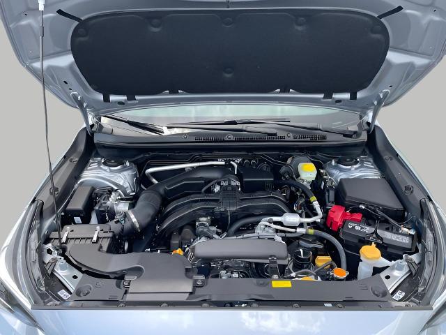 2025 Subaru Crosstrek Vehicle Photo in Oshkosh, WI 54904