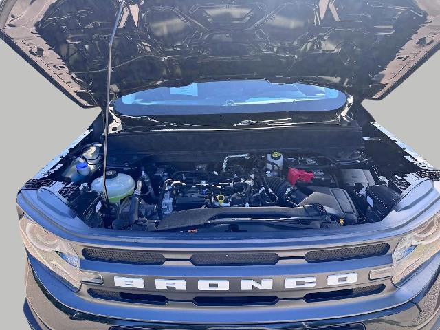 2024 Ford Bronco Sport Vehicle Photo in Oshkosh, WI 54901