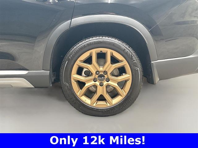 2024 Honda Pilot Vehicle Photo in EVERETT, WA 98203-5662