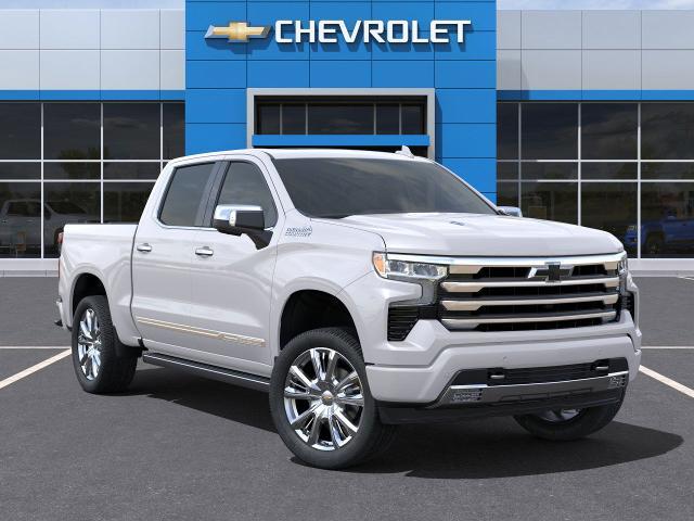 2025 Chevrolet Silverado 1500 Vehicle Photo in GILBERT, AZ 85297-0446