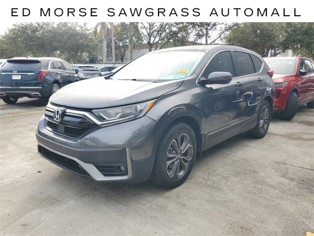 2022 Honda CR-V Vehicle Photo in SUNRISE, FL 33323-3202