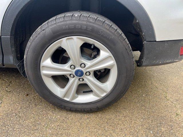 2013 Ford Escape Vehicle Photo in MILFORD, OH 45150-1684