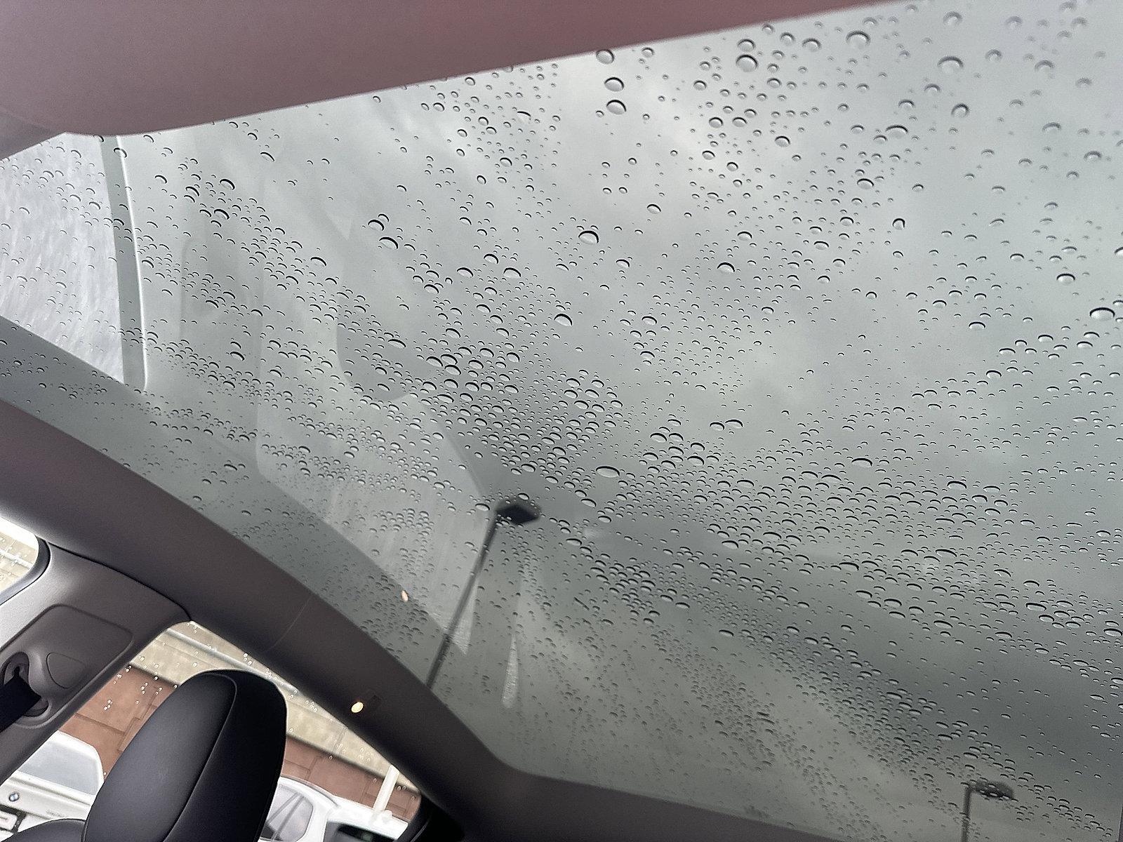 2021 Tesla Model Y Vehicle Photo in Lancaster, PA 17601