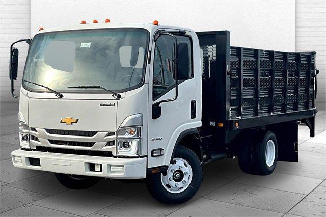 2025 Chevrolet Low Cab Forward 3500 Vehicle Photo in TOPEKA, KS 66609-0000