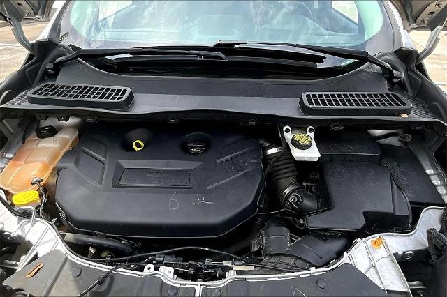 2016 Ford Escape Vehicle Photo in Houston, TX 77007