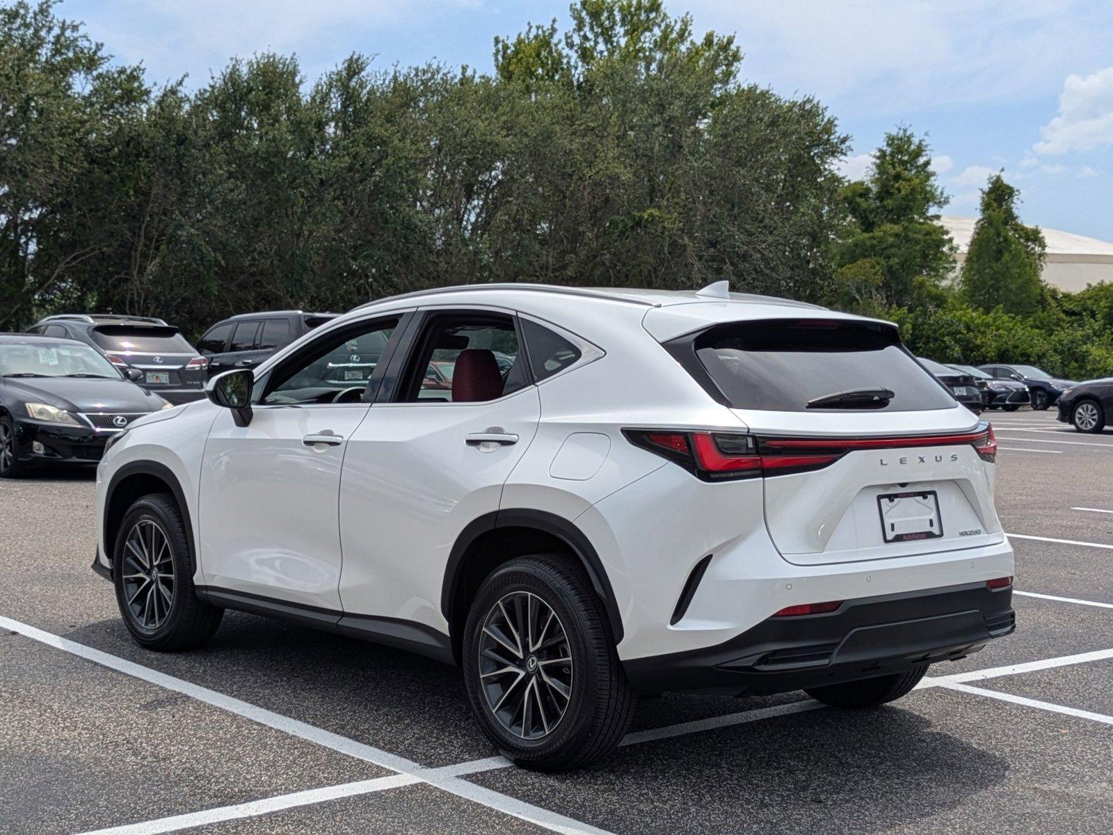 2024 Lexus NX 250 Vehicle Photo in Clearwater, FL 33761