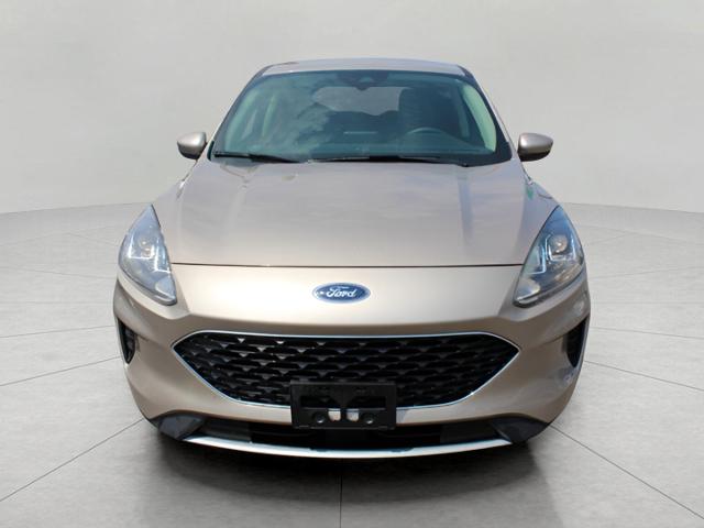 2020 Ford Escape Vehicle Photo in Green Bay, WI 54304