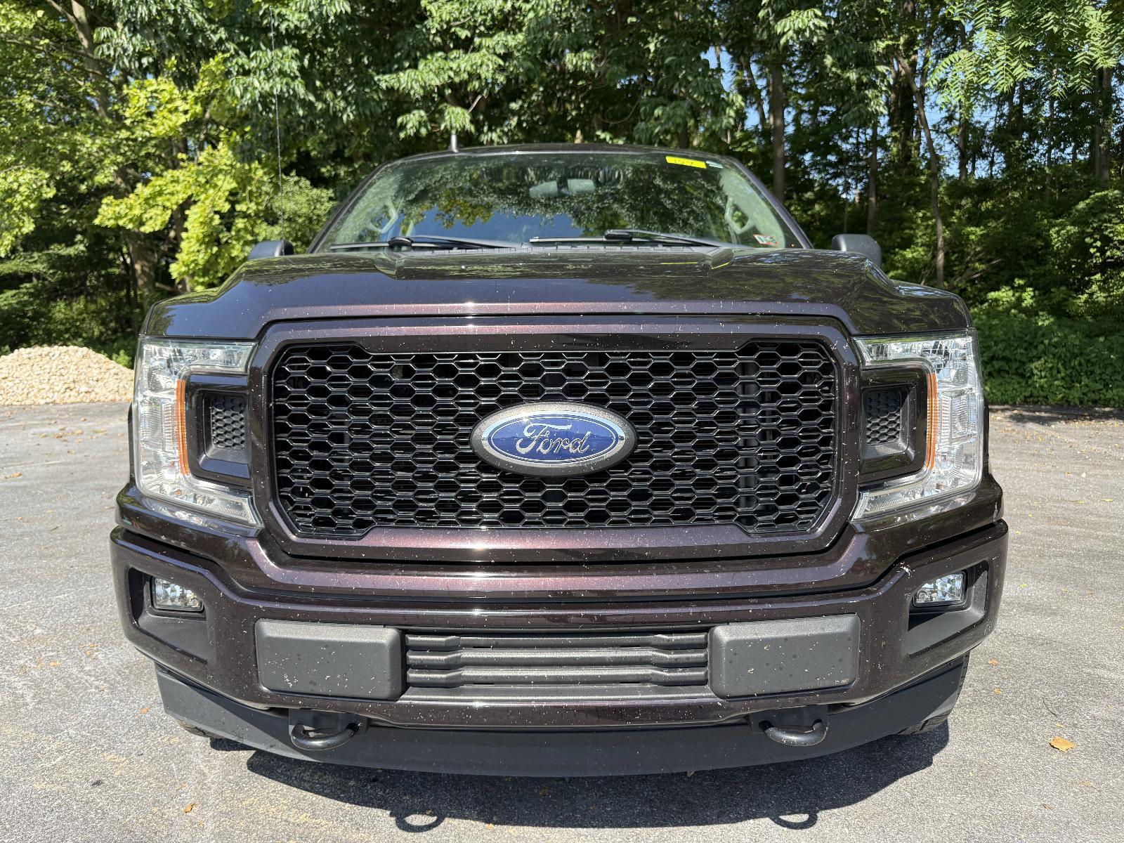 2020 Ford F-150 Vehicle Photo in Harrisburg, PA 17111