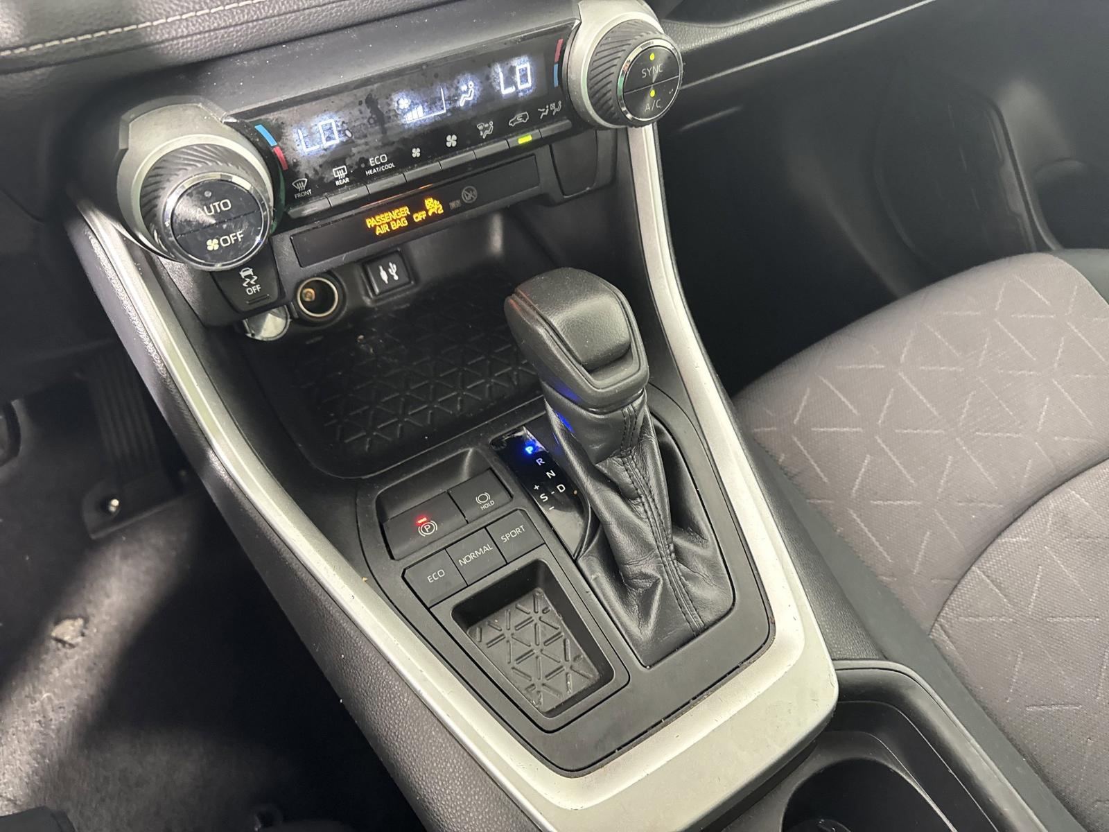 2019 Toyota RAV4 Vehicle Photo in GEORGETOWN, TX 78626-7508