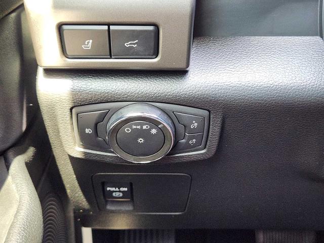 2020 Ford Expedition Vehicle Photo in DENTON, TX 76210-9321