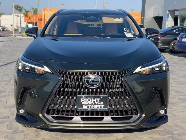 2024 Lexus NX 350h for sale in Tustin - JTJGKCEZ2R2025725 - Tustin Auto  Center