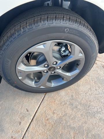 2024 Ford Escape Vehicle Photo in Winslow, AZ 86047-2439