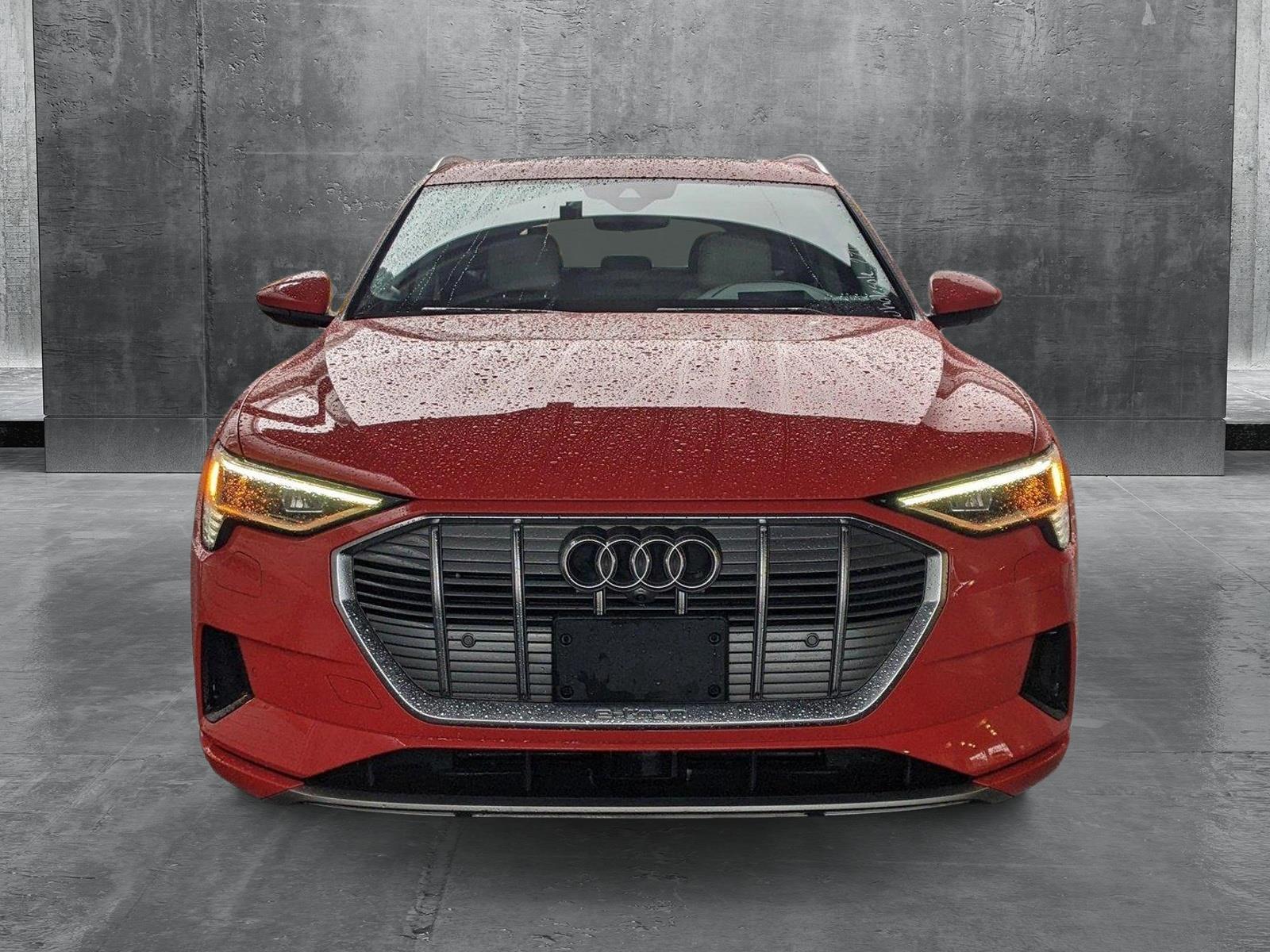 2019 Audi e-tron Vehicle Photo in Cockeysville, MD 21030
