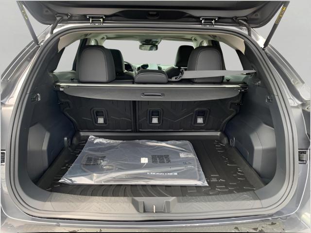 2025 Subaru Crosstrek Vehicle Photo in Oshkosh, WI 54904