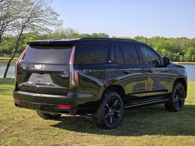 2022 Cadillac Escalade Vehicle Photo in DENTON, TX 76210-9321
