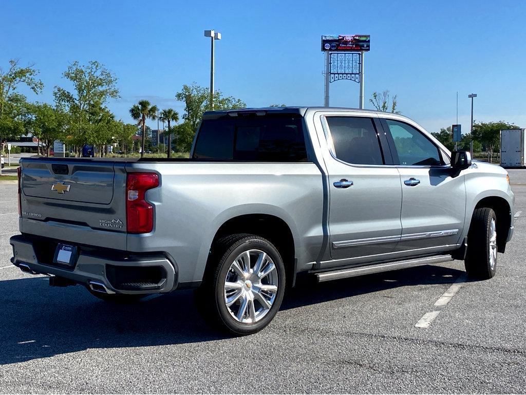 2025 Chevrolet Silverado 1500 Vehicle Photo in BEAUFORT, SC 29906-4218