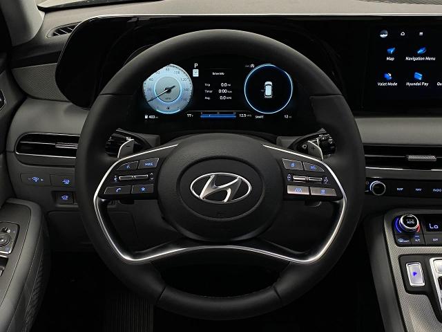 2025 Hyundai PALISADE Vehicle Photo in Appleton, WI 54913