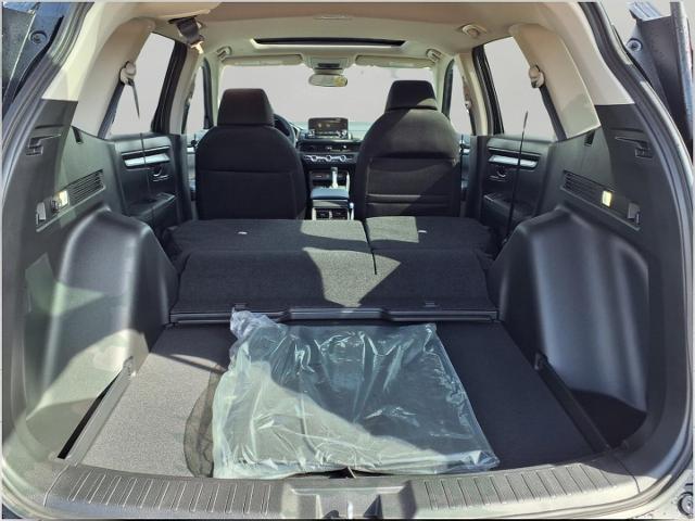 2025 Honda CR-V Vehicle Photo in Oshkosh, WI 54904