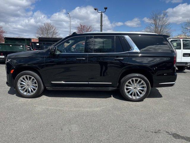 2023 Cadillac Escalade Vehicle Photo in MOUNT KISCO, NY 10549-1513