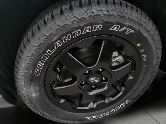 2025 Subaru Outback Vehicle Photo in Green Bay, WI 54304