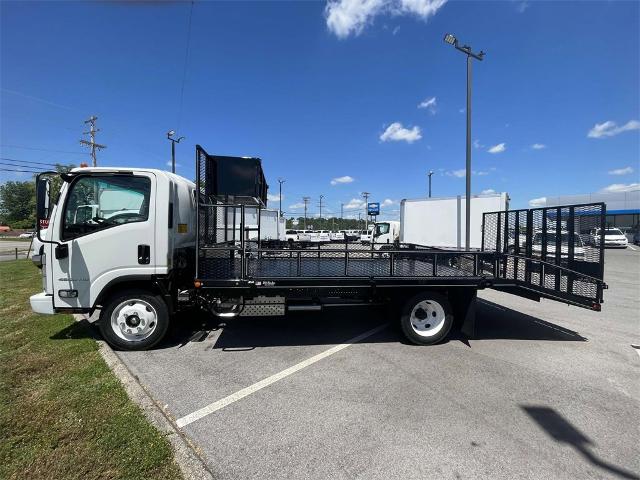 2024 Chevrolet Low Cab Forward 4500 Vehicle Photo in ALCOA, TN 37701-3235