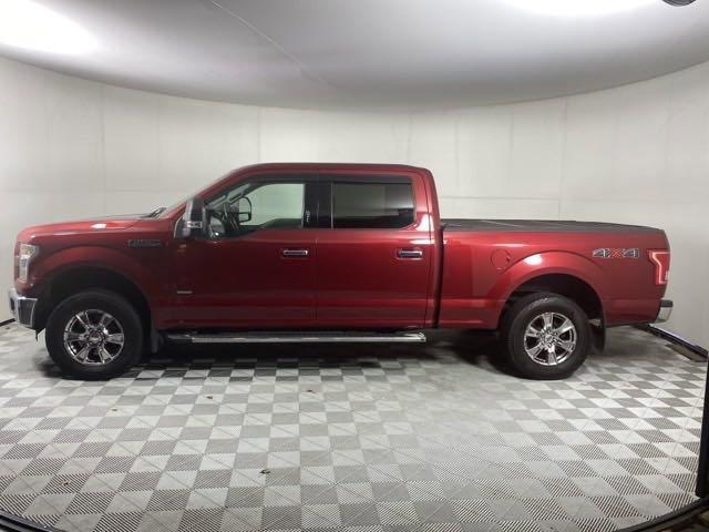 2015 Ford F-150 Vehicle Photo in MEDINA, OH 44256-9001