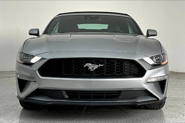 2022 Ford Mustang Vehicle Photo in Grapevine, TX 76051