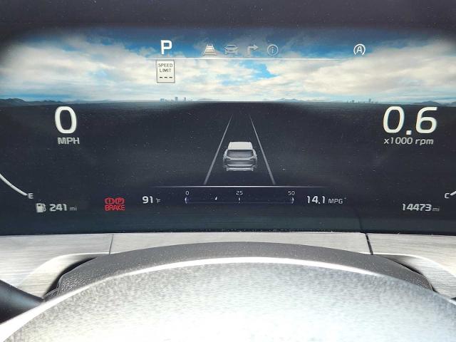 2024 Kia Telluride Vehicle Photo in DENTON, TX 76210-9321