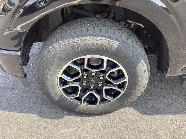 2022 Ford F-150 Vehicle Photo in Gardner, MA 01440