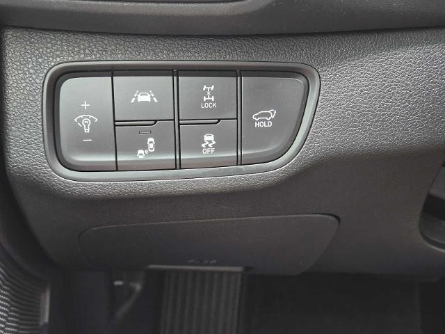2020 Hyundai SANTA FE Vehicle Photo in DENTON, TX 76210-9321
