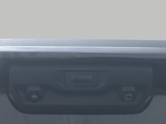 2022 Chevrolet Silverado 1500 Vehicle Photo in GREEN BAY, WI 54303-3330