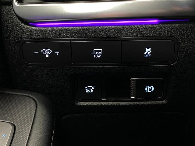 2025 Hyundai PALISADE Vehicle Photo in Appleton, WI 54913