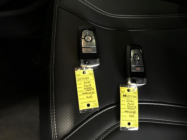 2021 Ford Mustang Mach-E Vehicle Photo in GREEN BAY, WI 54303-3330