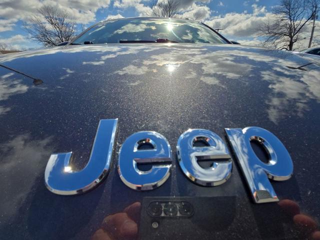 2018 Jeep Cherokee Vehicle Photo in WILLIAMSVILLE, NY 14221-2883