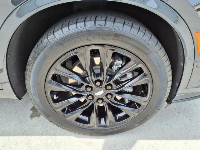 2022 Cadillac XT6 Vehicle Photo in Tampa, FL 33612