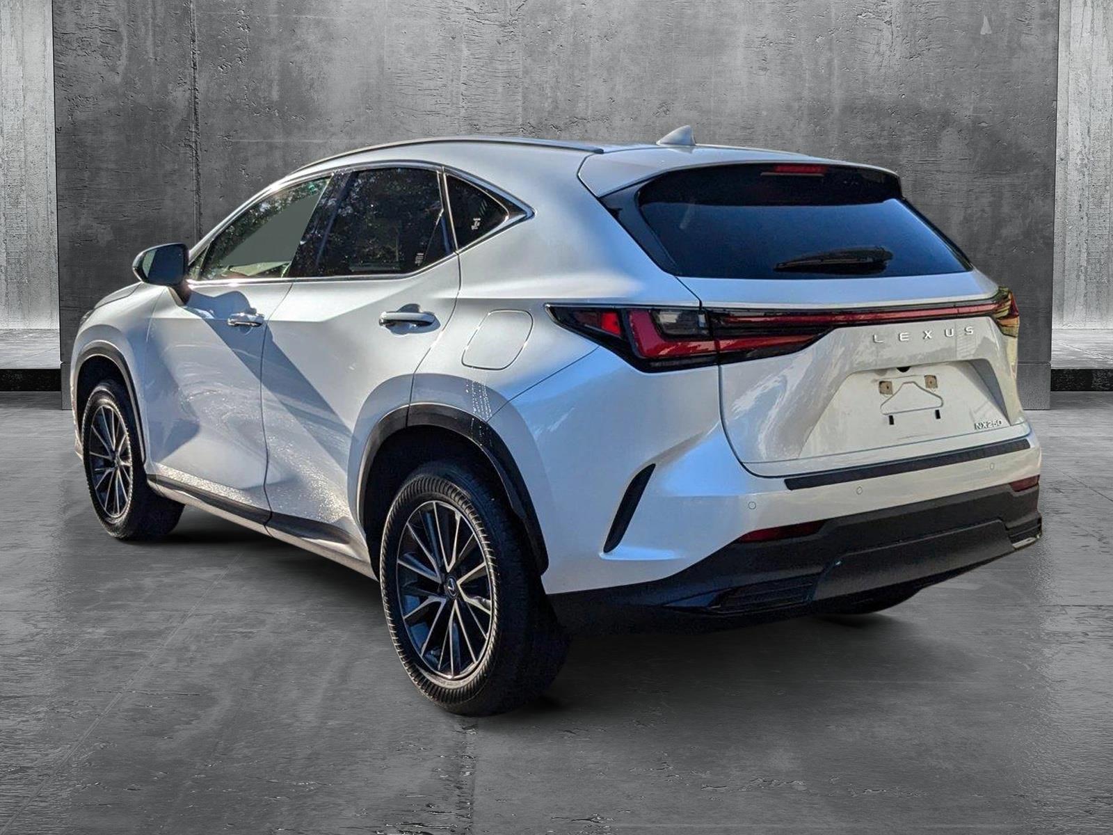 2022 Lexus NX 250 Vehicle Photo in West Palm Beach, FL 33417