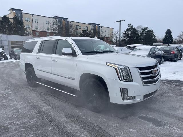 2019 Cadillac Escalade ESV Vehicle Photo in BEACHWOOD, OH 44122-4298