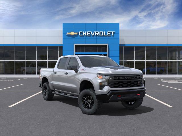 2025 Chevrolet Silverado 1500 Vehicle Photo in HOUSTON, TX 77034-5009