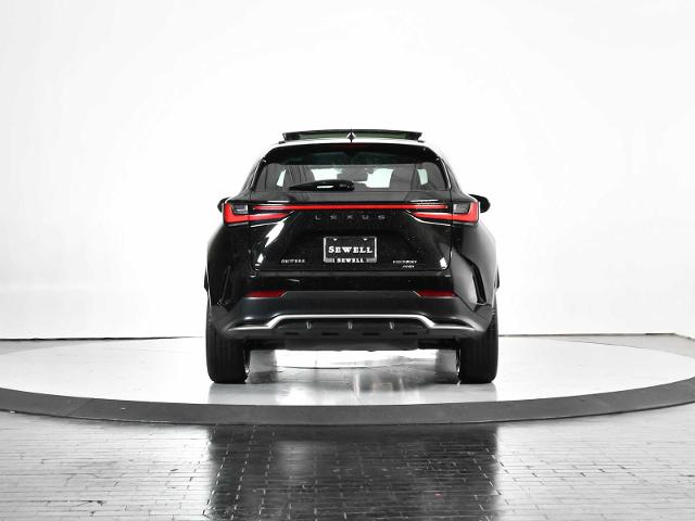 2024 Lexus NX 350 Vehicle Photo in DALLAS, TX 75235
