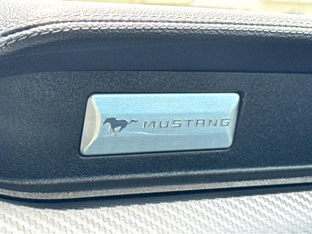 2019 Ford Mustang Vehicle Photo in Hinesville, GA 31313