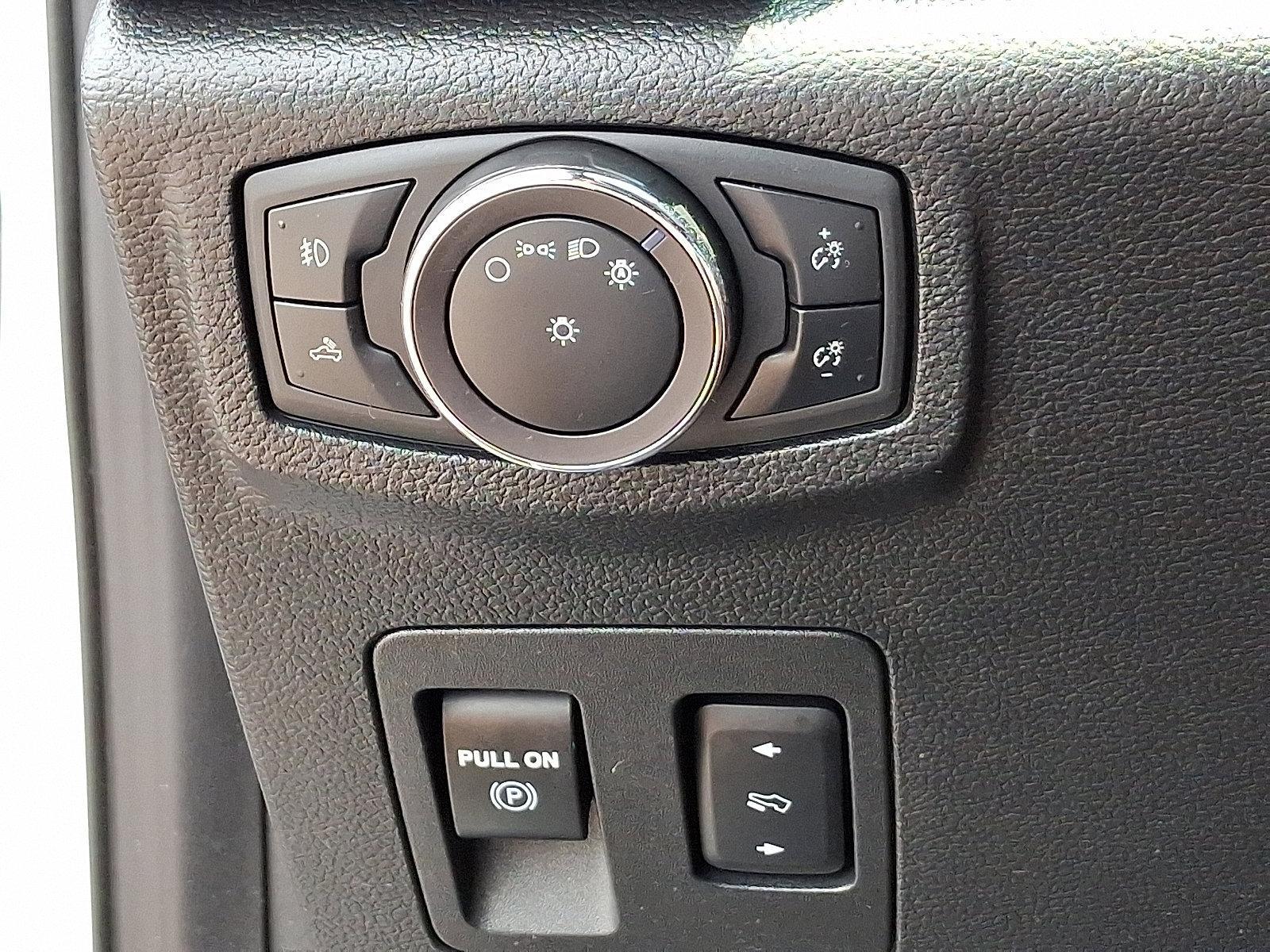 2019 Ford F-150 Vehicle Photo in Trevose, PA 19053
