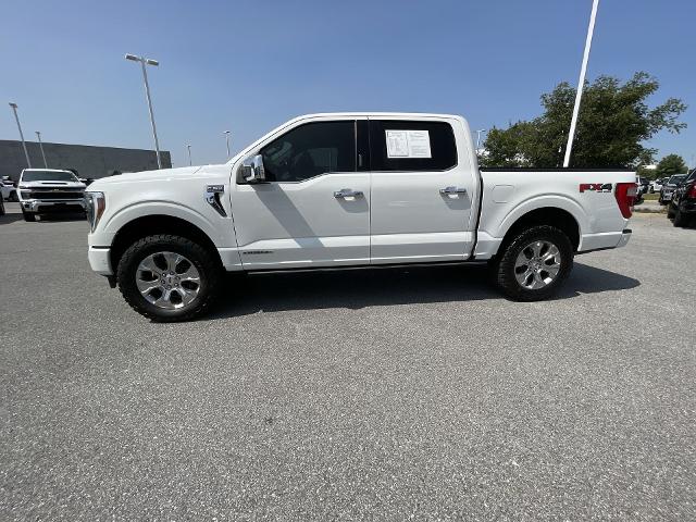 2021 Ford F-150 Vehicle Photo in BENTONVILLE, AR 72712-4322