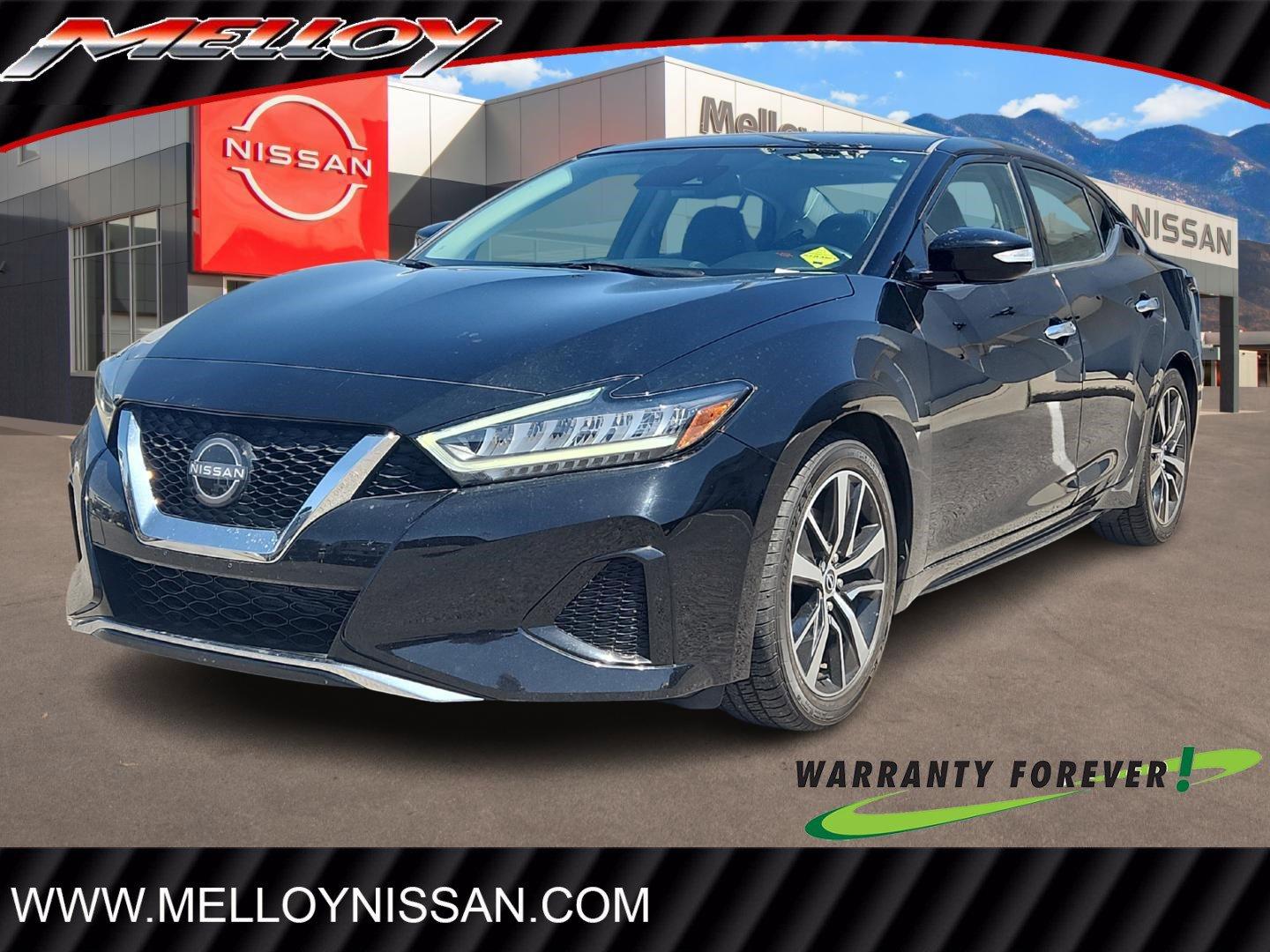 2023 Nissan Maxima Vehicle Photo in Albuquerque, NM 87110