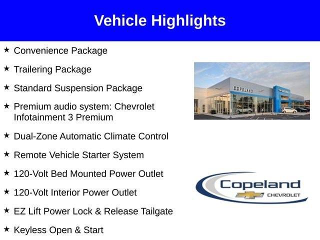 2025 Chevrolet Silverado 1500 Vehicle Photo in BROCKTON, MA 02301-7113