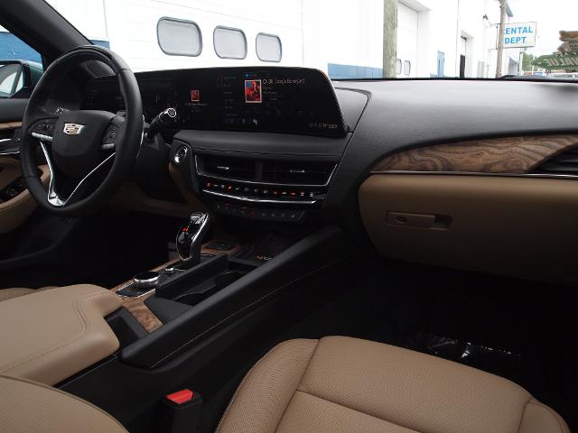 2025 Cadillac CT5 Vehicle Photo in MADISON, IN 47250-1611