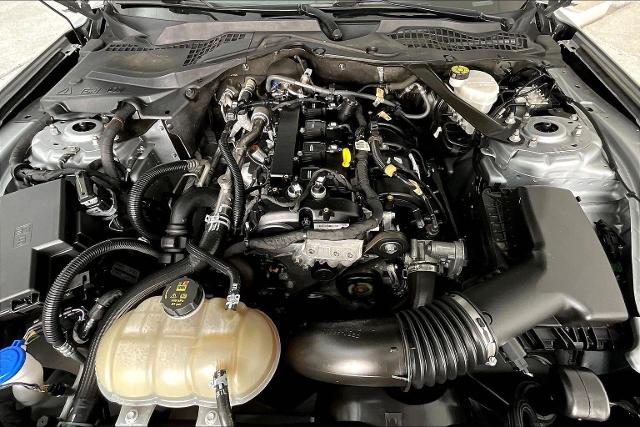 2023 Ford Mustang Vehicle Photo in San Antonio, TX 78230